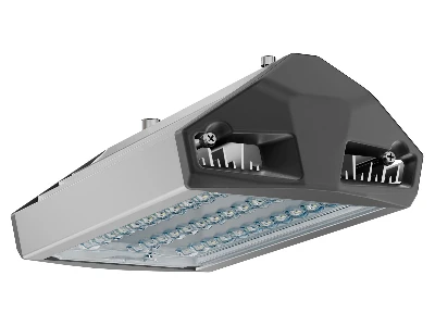 Светильник уличный ЕСАУЛ ДКУ-50 750 ШБ