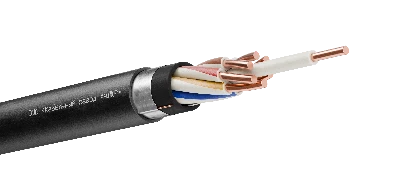 Кабель контрольный КВВГэнг(А)-LS 7х2.5